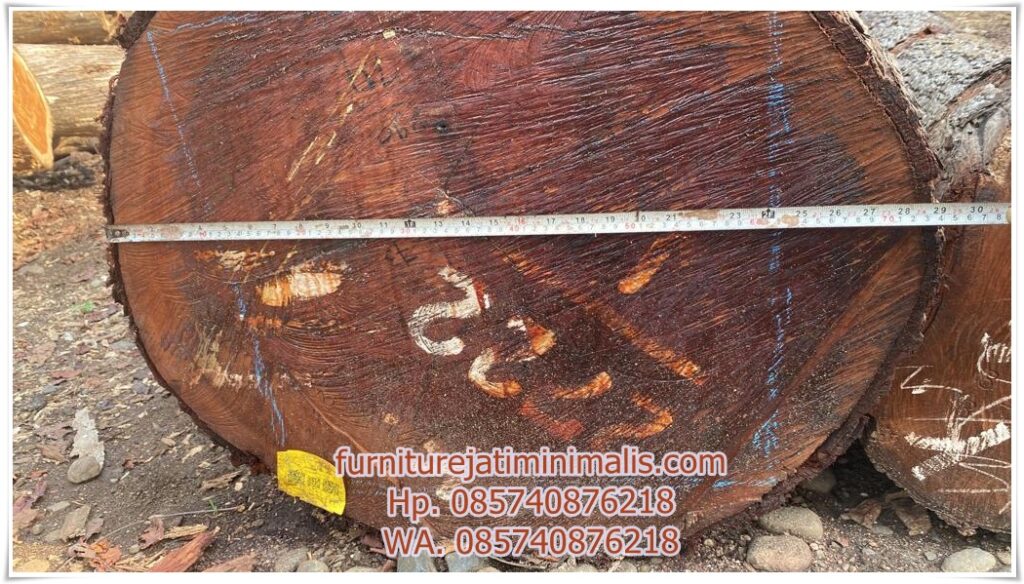 kayu mahoni, warna kayu mahoni, furniture kayu mahoni